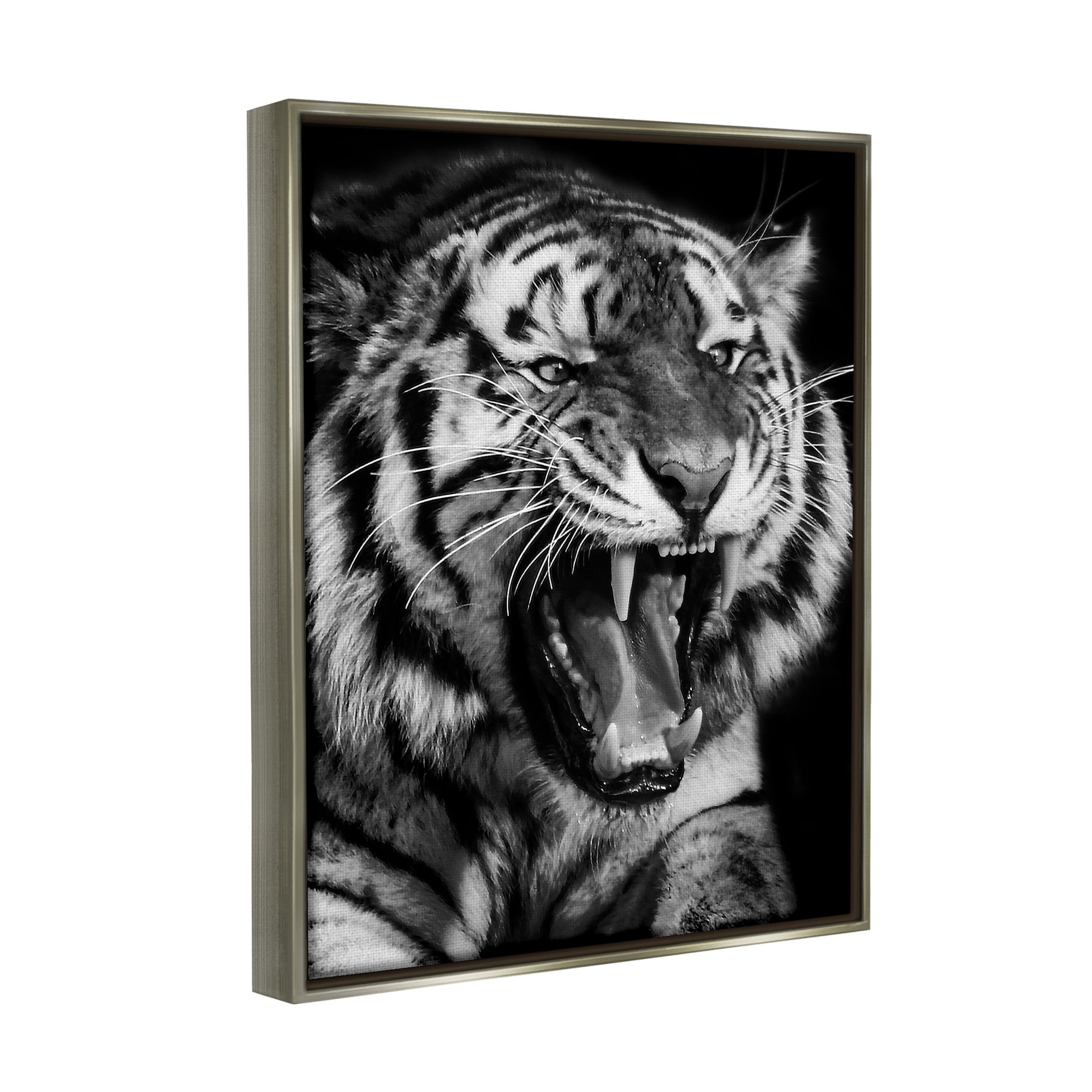 Stupell Industries Tiger Roaring Photography Animals & Insects Photography Gray Floater Framed Canvas Art Print Wall Art, 25 x 31