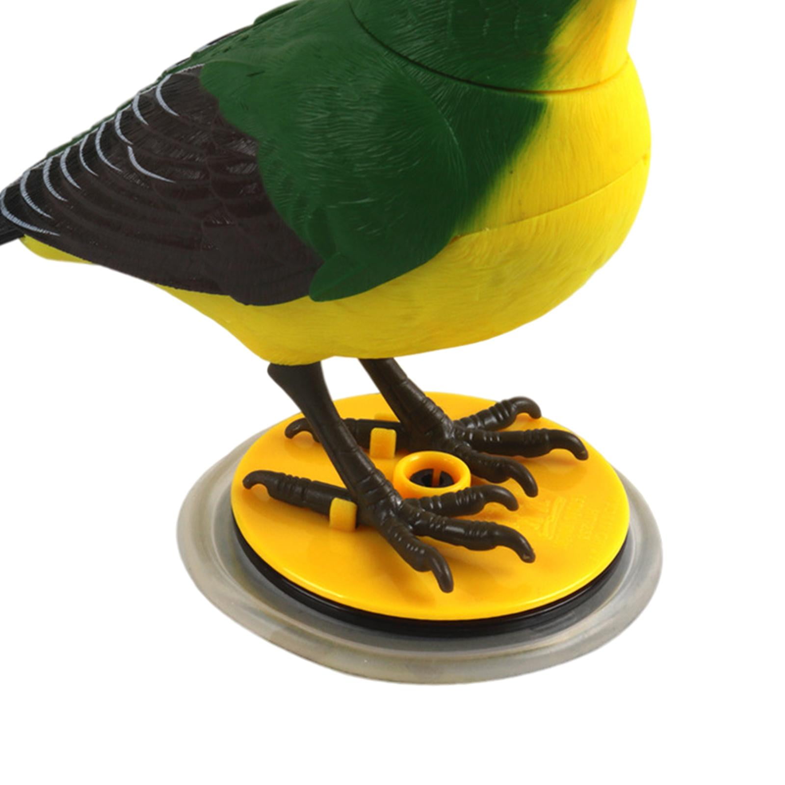 Oiseau électronique chantant interactif - XVX - Réaliste - Pour tout