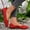 Red, variant on Eltusu Women Flat Shoes, Slip on Solid Color Pointy Toe Comfy Work Shoes Red Size 5.5-9.5