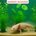 thumbnail image 3 of ABEL CRAFTS Axolotl Tank Décor Large Hideout Aquatic Habitat Aquarium Plant Decoration Bundle, with Accessories Included, Clear, 4 Count, 3 of 7