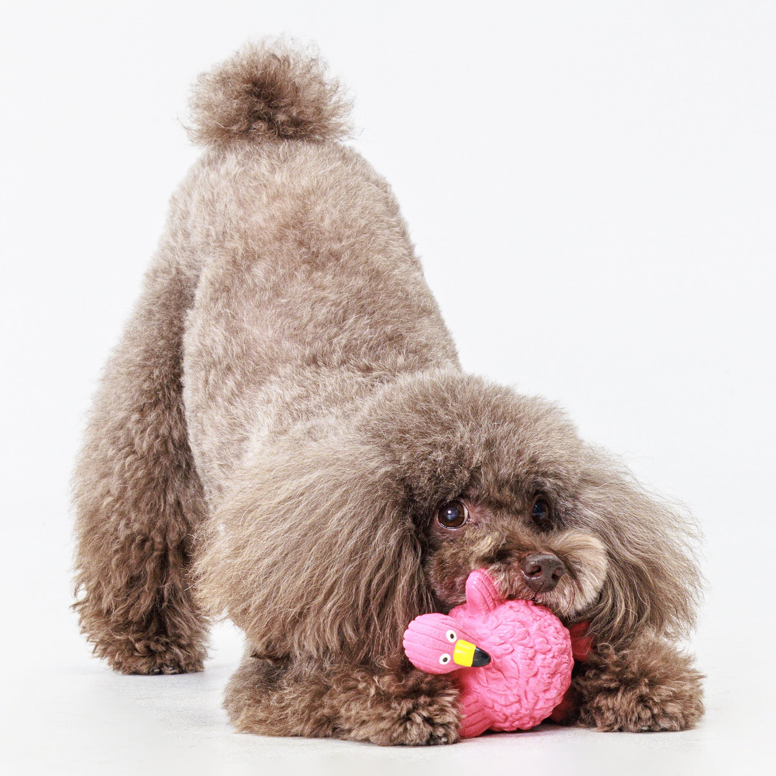 Tuwicx Interactive & Indestructible Dog Toys for Boredom and Stimulati –  Fuzzy Fam Pets