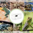 thumbnail image 3 of BESTYASH 1Pcs Reptile Tank Acrylic Transparent Square for Storing Live Food Temporary 7x7x11.6 In, 3 of 5