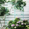 thumbnail image 5 of Auto Beyond 2 Pack Metal Garden Trellis 71" x 19.7" Rustproof Trellis for Climbing Plants Outdoor Flower Support Green, 5 of 5