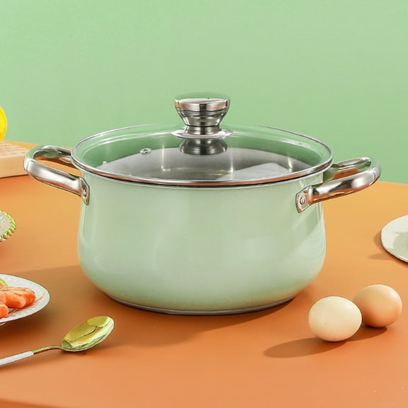 Raindrops Stainless Steel Stock Pot Sauce with Lid Induction Dual Green