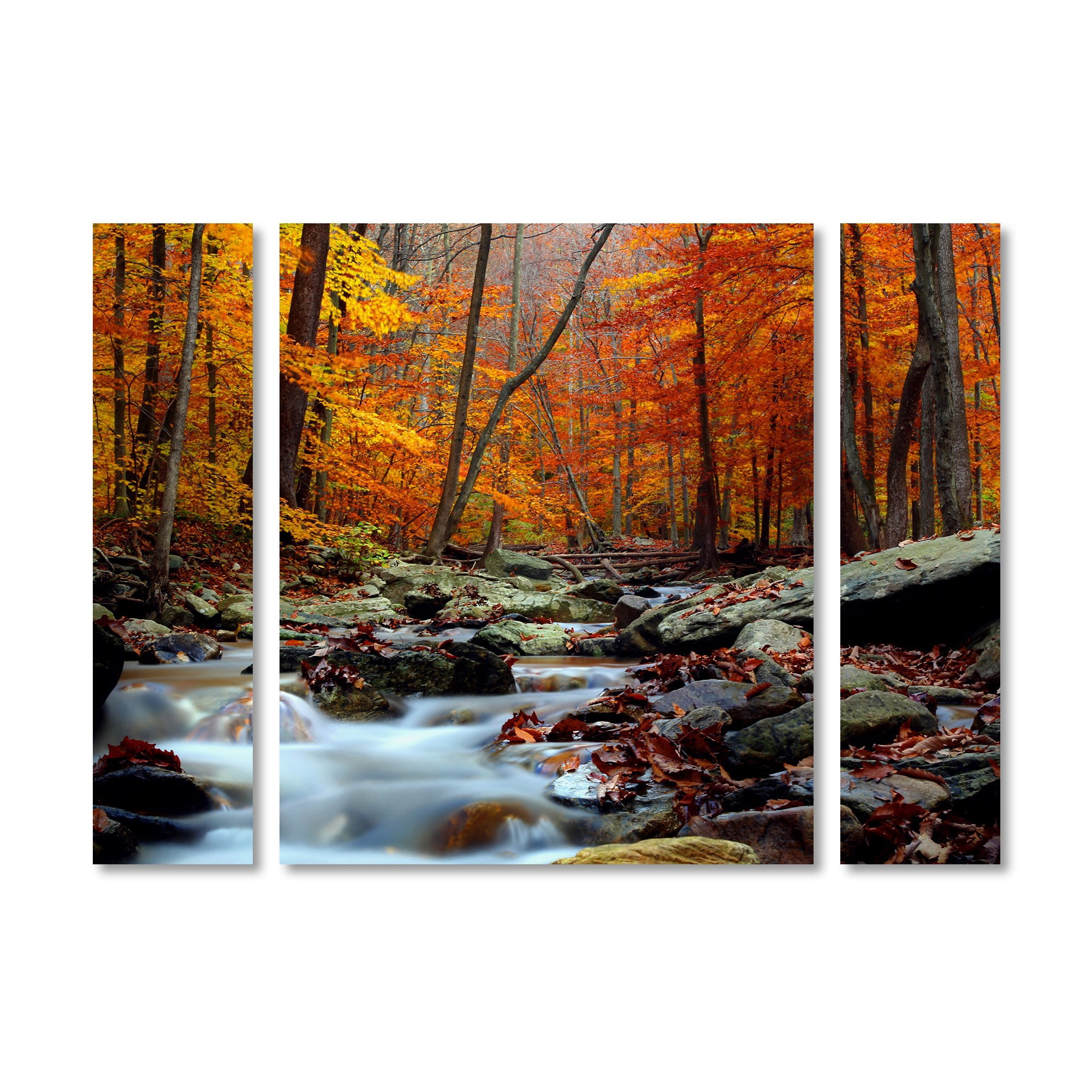 Trademark Fine Art "Ultimate Truth" Canvas Art by CATeyes Three Panel Set