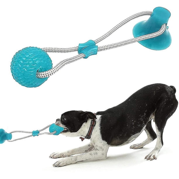 Juguetes para perros de ventosa, juguetes de cuerda duraderos interactivos  multifuncionales para mascotas molar | Walmart en línea