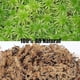 thumbnail image 2 of Tierra para macetas con musgo Sphagnum para plantas carnívoras, orquídeas, sarracenias, plantas de jarra y más, totalmente natural (4 cuartos de galón), 2 of 5