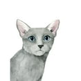 thumbnail image 3 of Popp, Grace 15x18 Black Modern Framed Museum Art Print Titled - Cat Portrait I, 3 of 5
