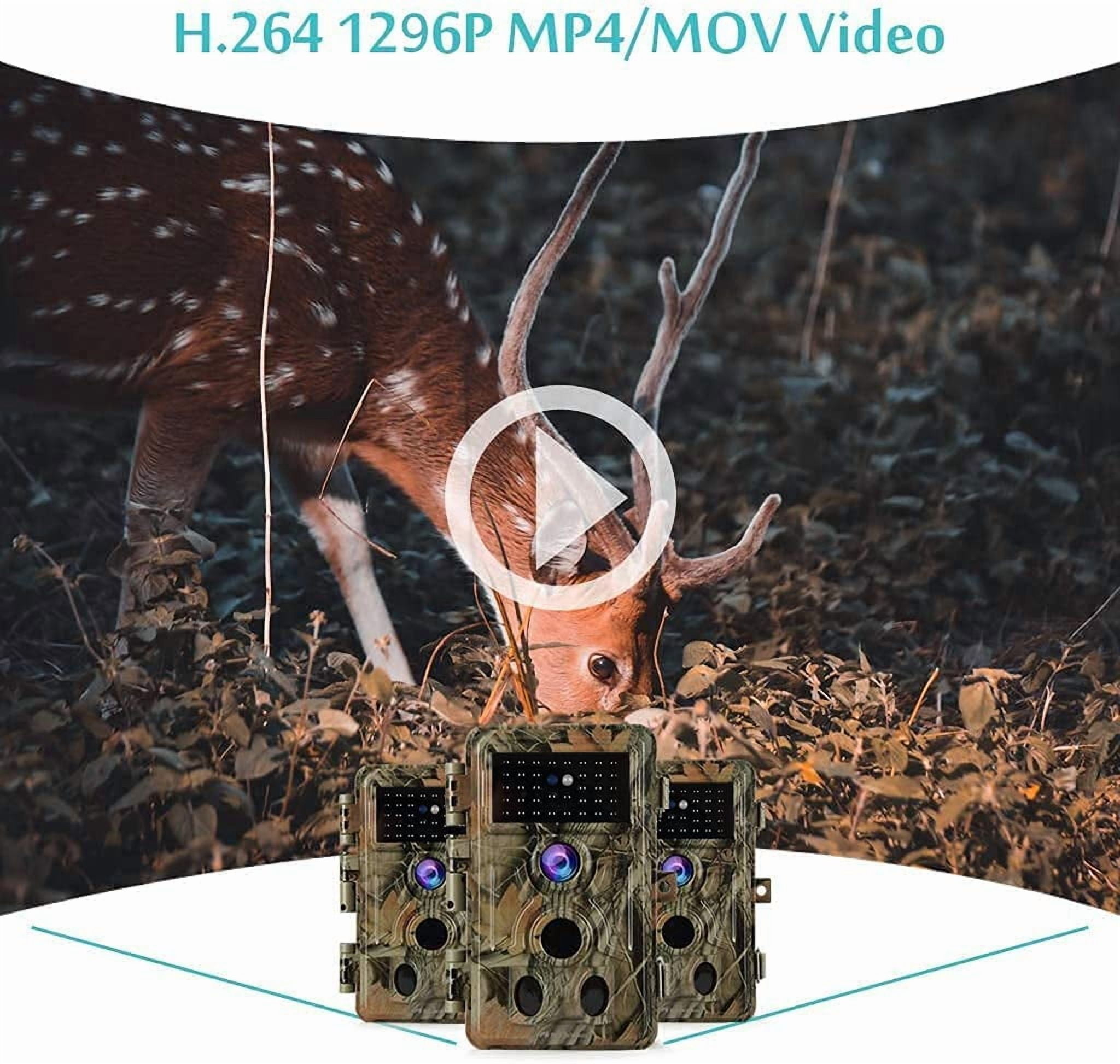2-Pack 64MP Trail Cameras with 1296P HD Video, Night Vision No Glow, 0.1S Motion Activation, IP66 Waterproof - Ideal for Outdoor Wildlife Hunting & Home Security Surveillance-Brown