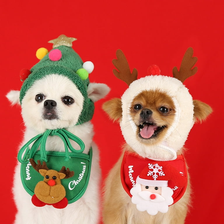Puppies in clearance christmas outfits