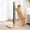 Grey, variant on 29" Tall Solid Wood Cat Scratching Post for Indoor Cats, Extra Stable Heavy Base, Natural Sisal Scratcher with Hanging Ball, Furniture Protector for Kittens & Adult Cats, Beige