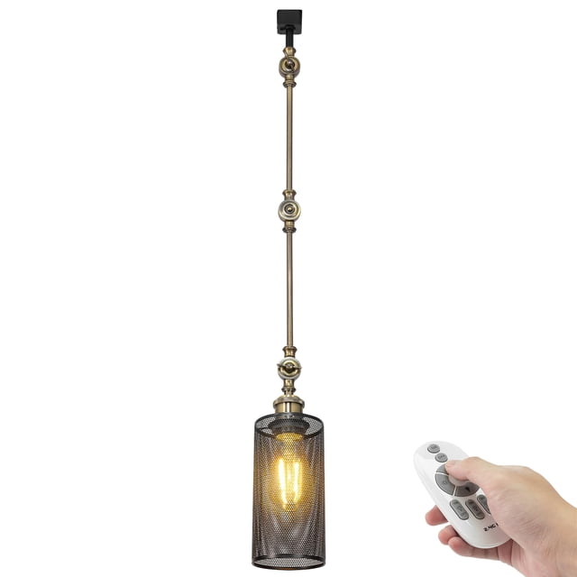 FSLiving Éclairage de Piste Gimbaled Type H, Projecteur de Plafond par Télécommande, Gradation Continue Ampoules LED Edison Design Sculpté Monté sur Piste pour Cuisine Plafond Incliné