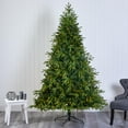 thumbnail image 2 of Nearly Natural 7ft. Colorado Mountain Fir Look Artificial Christmas Tree with 500 Clear LED Lights and 2552 Tips, 2 of 6