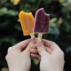 thumbnail image 2 of EeaseMX 20 palitos de helado creativos, delicados y naturales., 2 of 8