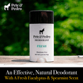thumbnail image 3 of Pete & Pedro FRESH Deodorant Natural Aluminum-Free Eucalyptus Spearmint, 2.65 oz., 3 of 6