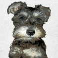 thumbnail image 3 of CafePress - Miniature Schnauzer Kids Light T Shirt - Light T-Shirt Kids XS-XL, 3 of 4