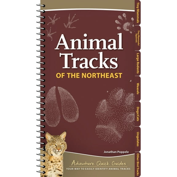 Adventure Quick Guides Animal Tracks of the Northeast: Your Way to Easily Identify Animal Tracks, (Spiral-Bound)