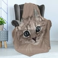 thumbnail image 4 of Animal Soft Flannel Fleece Throw Blanket, Portrait of Domestic Cat Face Baby Kitten Pet Whiskers Fluffy Feline, Cozy Plush for Indoor and Outdoor Use, 60" x 80", Umber Brown Bluegrey, by Ambesonne, 4 of 5
