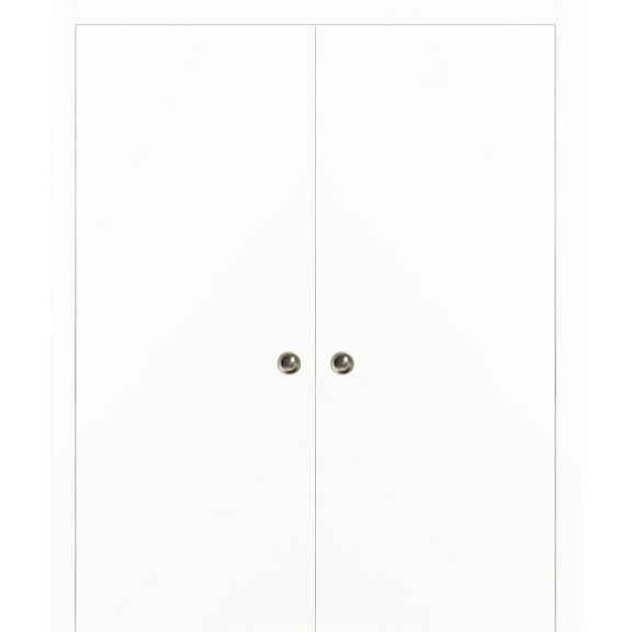 Modern Double Pocket Closet Doors 60 x 80