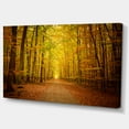 thumbnail image 2 of Pathway dans la Forêt d'Automne Verte - Impression sur Toile de Photographie, 2 of 3