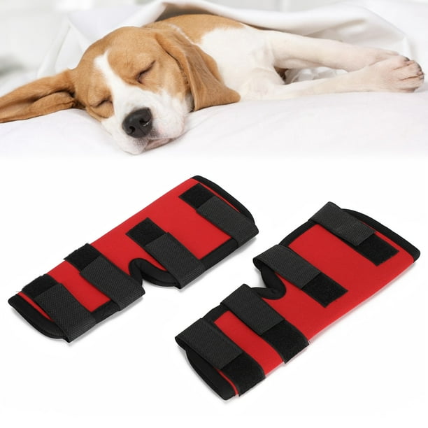 Rodillera para mascotas cómodo y seguro Protector de pierna de perro suave y flexible para adornos para mascotas ANGGREK Otros