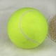 thumbnail image 3 of Xihbxyly Ofertas Relámpago de Hoy Liquidación de Almacén Juguete Inflable Grande para Masticar para Mascotas, Tenis de 24 Cm, Suministros para Exteriores, 3 of 5