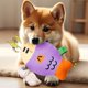 thumbnail image 5 of Dog Toys Sound Fish Dolls Pet Supplies Small Dogs Grinding Their Teeth For Self Pleasure And Relief, 5 of 6
