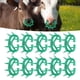 thumbnail image 4 of Espina de Nariz de Vaca, PlásTico Grueso, previamente la succió de Leche, Destete de Terneros para Ganadería, 4 of 7
