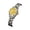 CB108_C, variant on Resicozy Women Watches 2026 Quartz Casual Elegant Small Wrist Watch Round Face Gifts for Her E