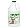 Bobbex 1 Gallon Deer Repellent Refill