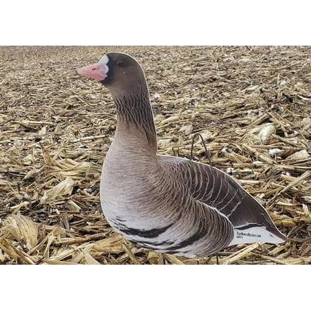 Specklebelly Goose Silhouette Decoy - SBV - 12 Pack