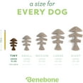 thumbnail image 4 of Benebone Tiny 2-Pack Fishbone Durable Dog Chew Toys, Real Fish Flavor, 4 of 6