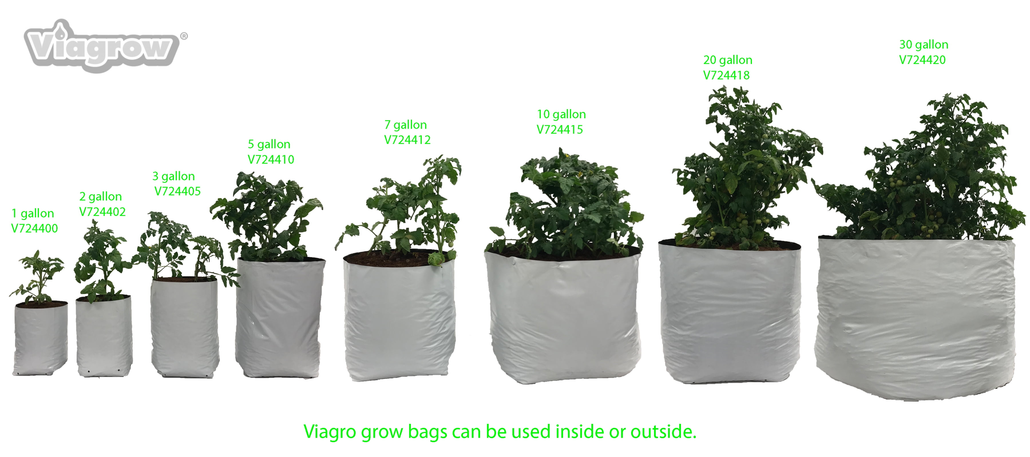 Vendant Grow Cone