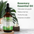 thumbnail image 4 of Aliver Rosemary Oil，Rosemary Massage Oil for Hair Skin Scalp,Nails， 4.04 oz, 4 of 10