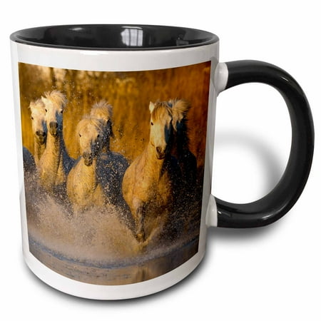 7 Running Horses 3dRose France, Provence. Seven white Camargue horses running in water. - Two Tone Black Mug, 11-ounce ()