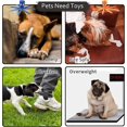thumbnail image 5 of Squeaky Dog Interactive Play Toy,No Stuffing Octopus Dog Chew Toy with Crinkle Paper for Medium and Large Dog Playing (Green), 5 of 5