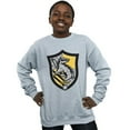 thumbnail image 2 of Harry Potter Boys Hufflepuff Crest Flat Sweatshirt, 2 of 5