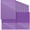 Purple-12, variant on Red 12-Pack Heavy Duty Pocket Folders for School Homework and Parent-Teacher Communication