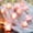 Pink, variant on Morttic LED Pink Rose Flower String Lights Battery Operated for Wedding Home Party Birthday Festival Indoor Outdoor Decorations Large Rose Flower Diameter 6cm (6.6ft 20LED, Pink Rose Warm Lights)