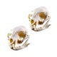 thumbnail image 1 of Adornos de resina Sunnimix para decoración de Esqueleto de Calavera de Gato 7,5 cm, 1 of 8