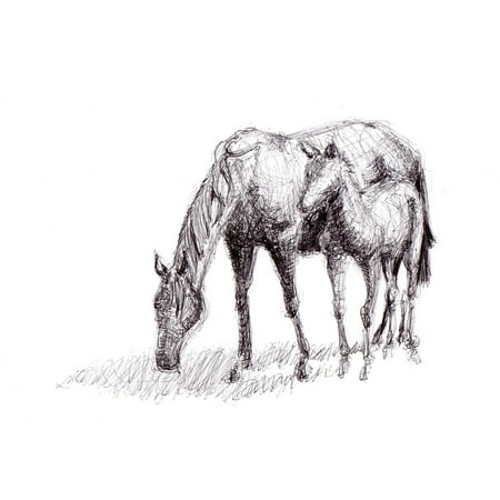 - Peel-n-Stick Poster of Art Drawing Horse Artwork Pen Poster 24x16 Adhesive Sticker Poster Print