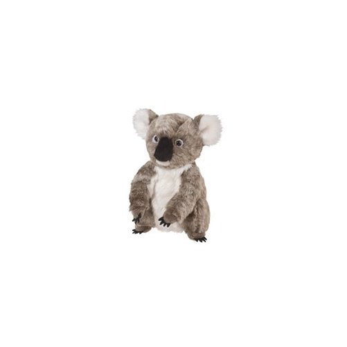 Douglas Aussie Koala 