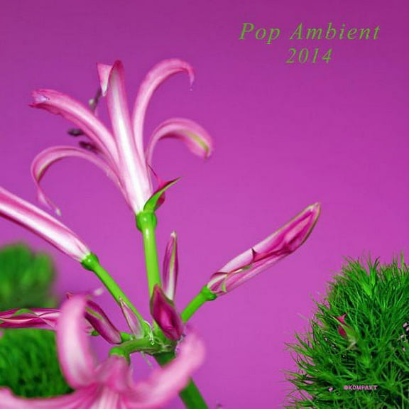 Various Artists - Pop Ambient 2014 / Various - Electronica - Vinyl