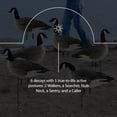 thumbnail image 4 of Avian X AXP Honkers Fusion Pack Lesser Canada Goose Decoys & Included Bag, 4 of 8
