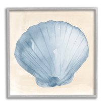 Sea Life Clamshell Composition Animals & Insects Graphic Art Gray Framed Art Print Wall Art