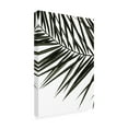 thumbnail image 2 of Trademark Fine Art Shot by Clint Phoenix Frond Canvas Wall Art, 2 of 4