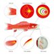 thumbnail image 1 of Bandera de carpa de 70 cm, cometa de bandera de pez colgante colorido para regalo de Koinobori (rojo) Ndcxsfigh  Libre de BPA, 1 of 8