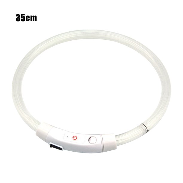 El collar de perro del LED enciende para arriba el collar de perro que brilla intensamente que destella recargable por USB de los collares de perro