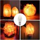 thumbnail image 5 of 6 pcs 10W Himalayan Salt Lamp Light Bulbs, E12 Screw Base Lamps Bulb for Himalayan Salt Lamp Oven LightBY, 5 of 5