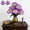 Purple-PP-clearacne, variant on WWG 2-Pack Artificial Peony Stems 6 Heads Each Realistic Silk Flowers Bouquet for Home Table Wedding Vase Centerpiece 13.8in